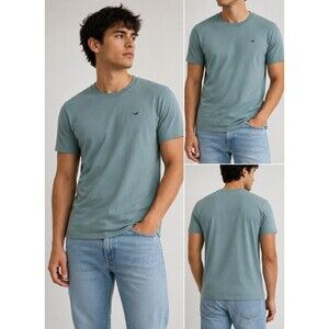Hollister Men’s Sage Green Crew Neck T Shirt Short Sleeve Casual Logo Tee Size L